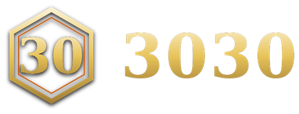 3030 logo